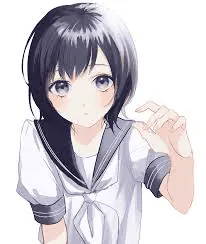 Image posted by the member