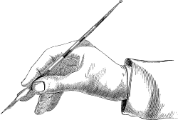 Image posted by the member