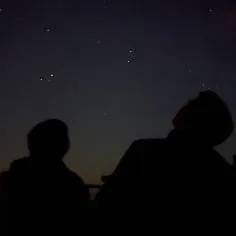 Image posted by the member