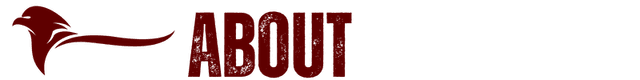 Image posted by the member