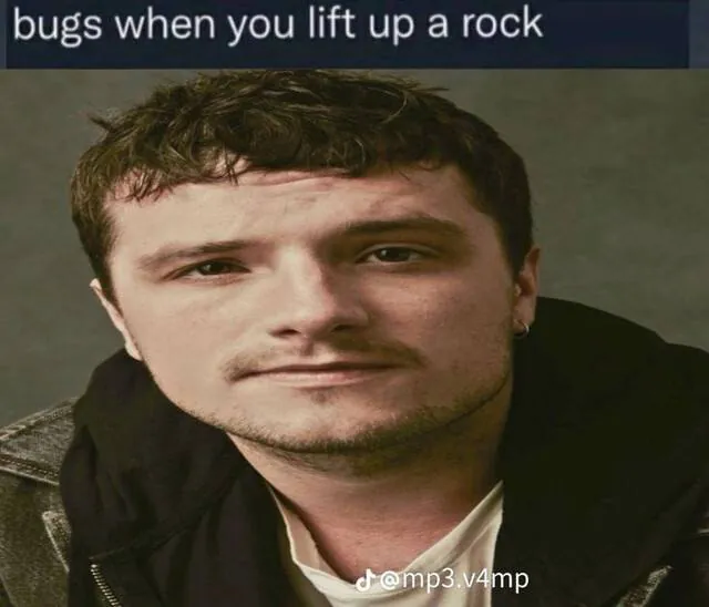 Image posted by the member