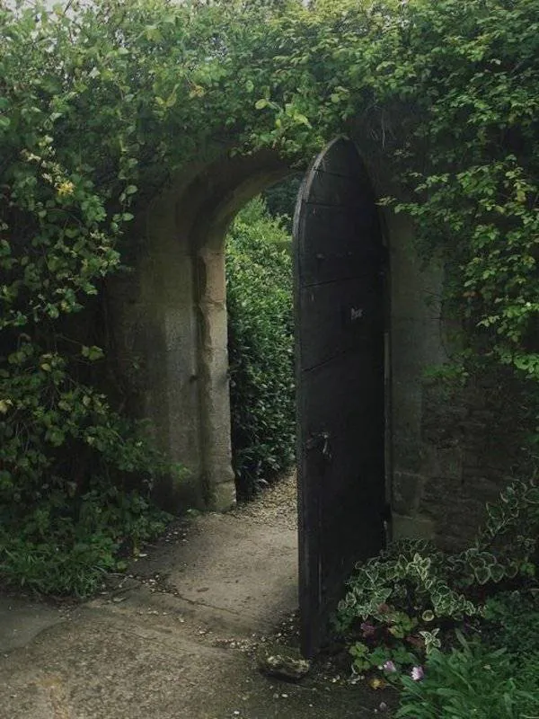 Image posted by the member