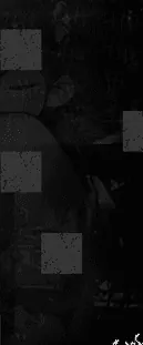 Image posted by the member
