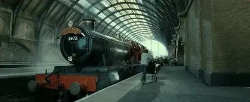 Image posted by the member