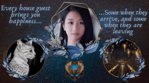 Image posted by the member