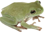 Image posted by the member