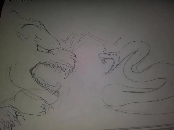 Image posted by the member