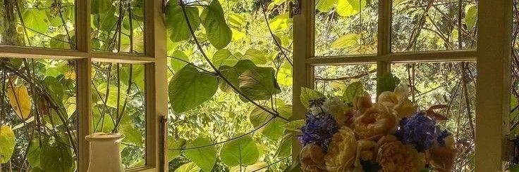 Image posted by the member