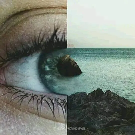 Image posted by the member