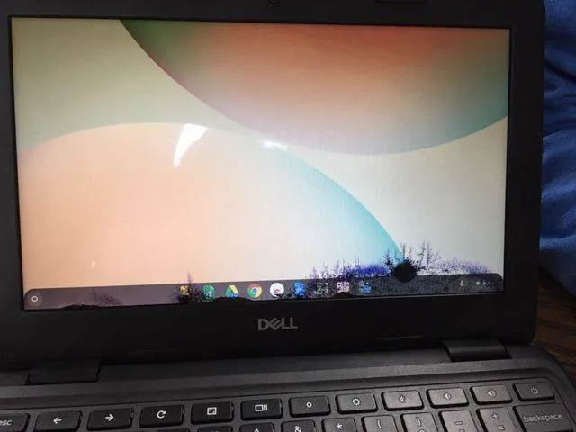Image posted by the member