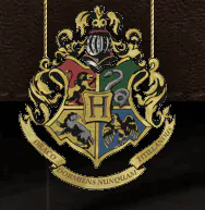 Image posted by the member