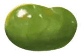 Image posted by the member