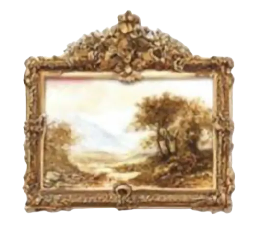 Image posted by the member