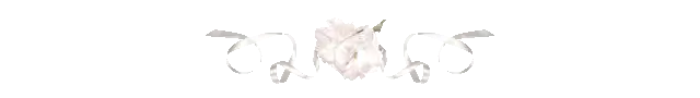 Image posted by the member