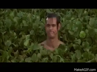 Image posted by the member