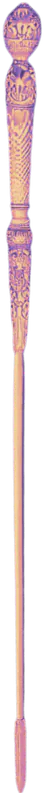 Image posted by the member