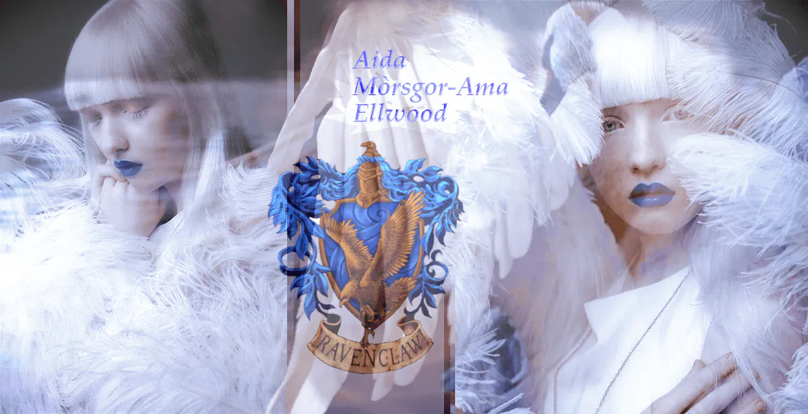 Image posted by the member