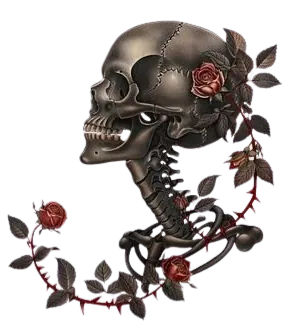 Image posted by the member