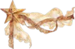 Image posted by the member