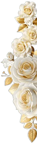 Image posted by the member