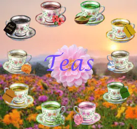 Image posted by the member