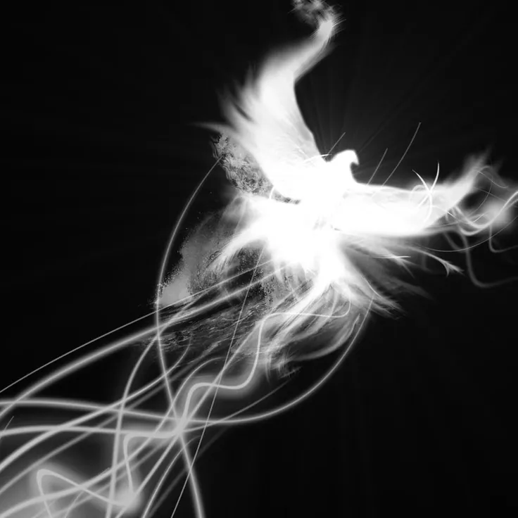 white dove patronus