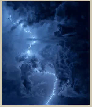 Image posted by the member