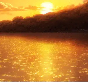Image posted by the member