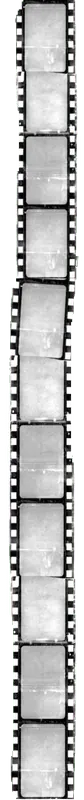 Image posted by the member
