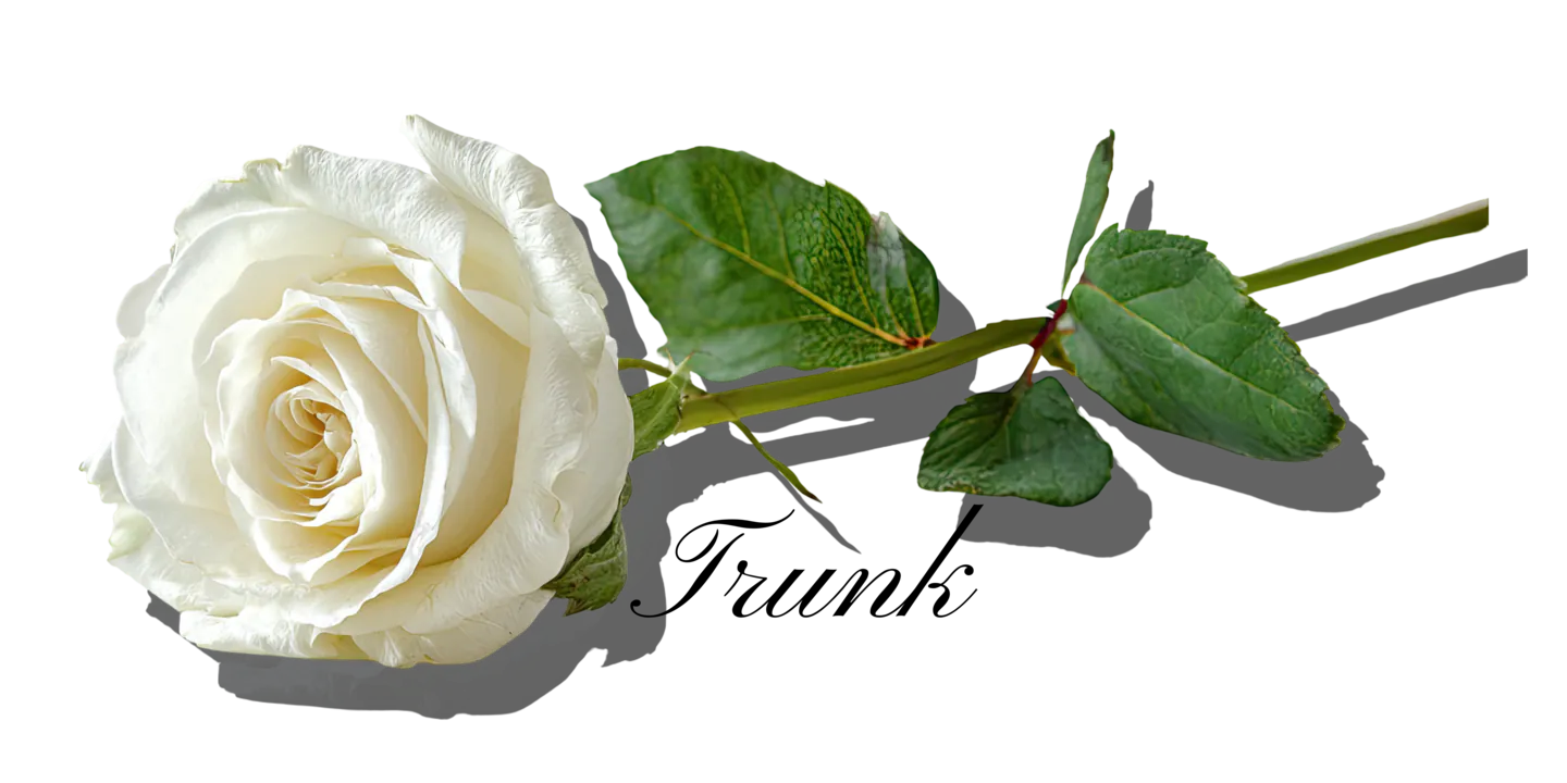 rose