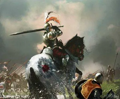 Image posted by the member