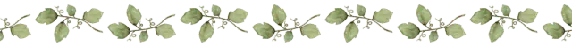 Image posted by the member