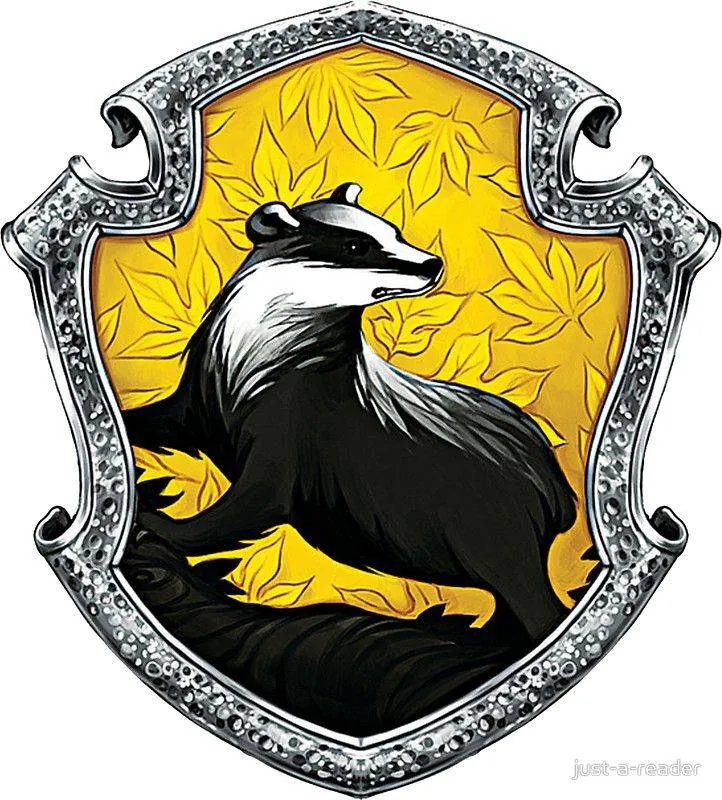 Image posted by the member
