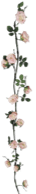 Image posted by the member