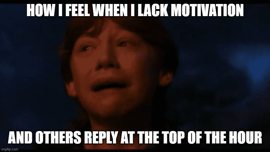 Image posted by the member