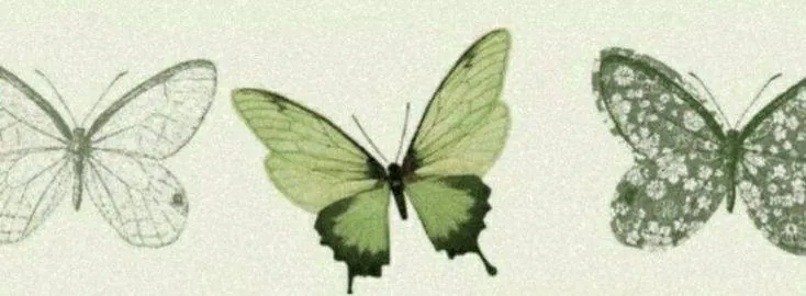 Image posted by the member