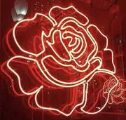 Image posted by the member