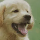 Image posted by the member