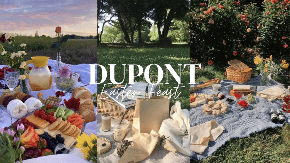 Image posted by the member