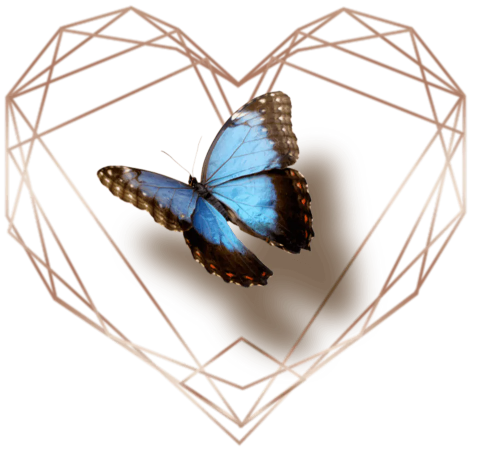 Image posted by the member