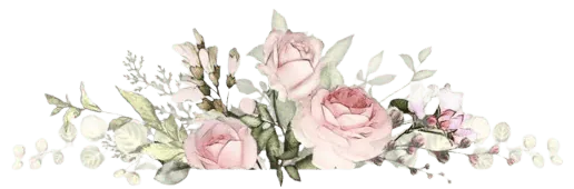 Image posted by the member