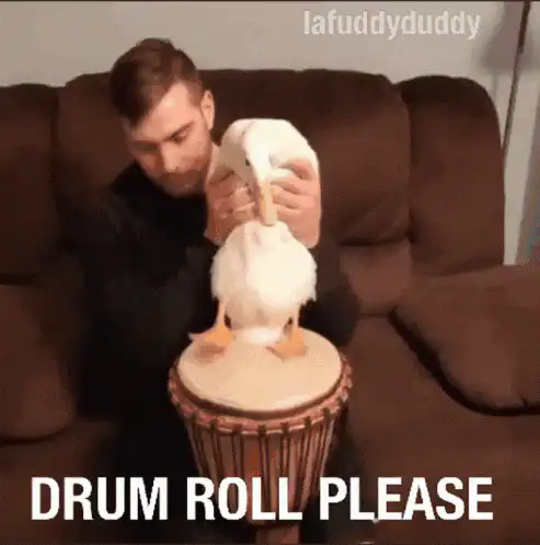 Image posted by the member