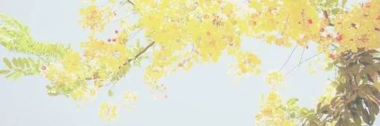 Image posted by the member