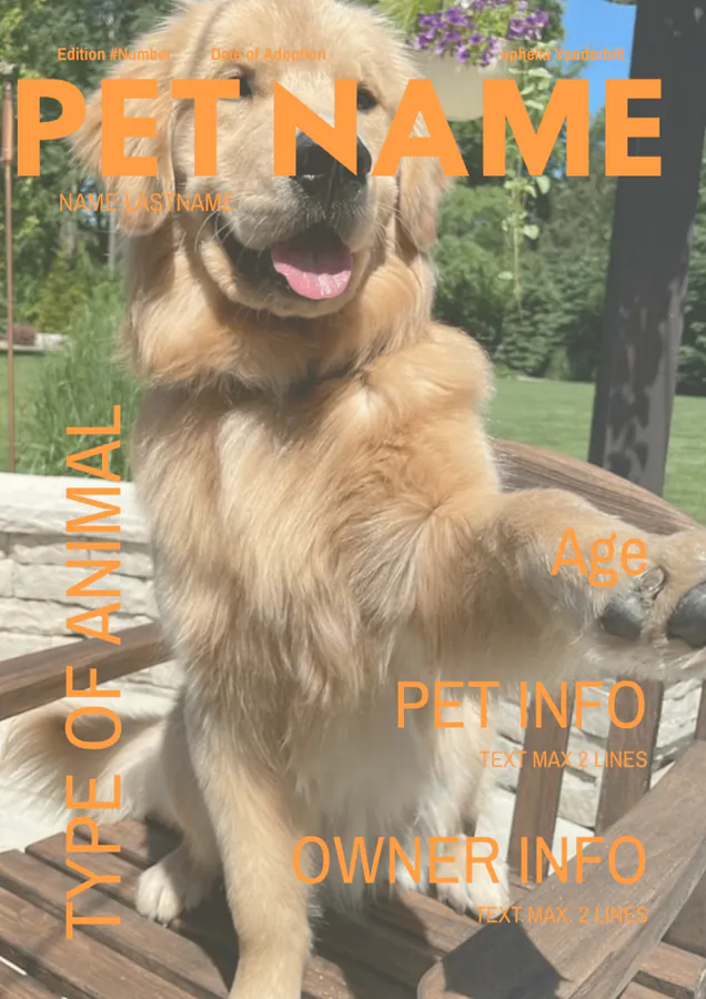 Image posted by the member