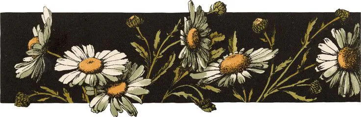 Image posted by the member