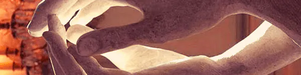 Image posted by the member