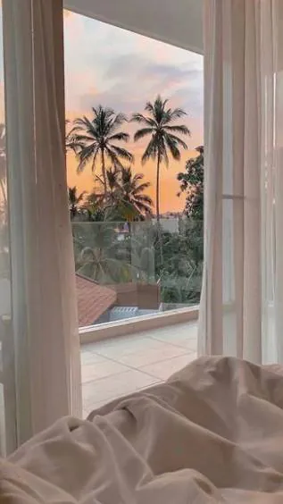 Image posted by the member
