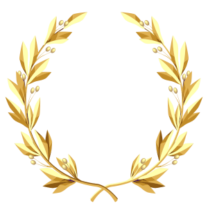 Image posted by the member
