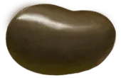 Image posted by the member