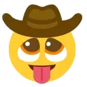 Image posted by the member